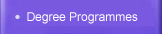 Degree Programme, Top-up Degree Programme 