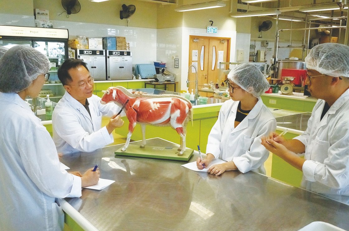 Higher Diploma in Food Technology and Safety