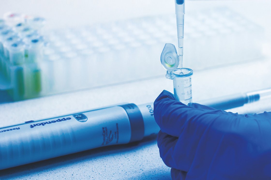 Higher Diploma in Biomedical Science