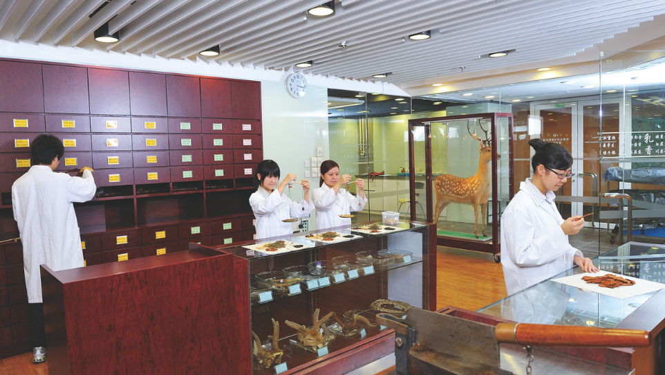 Dispensing Training and Pharmaceutical Care Resource Centre (Chinese Medicine)