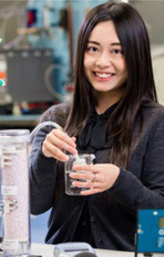 Chan Ho Hoi, Nikita