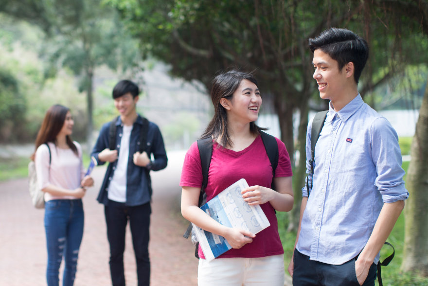 Vocational Development Programmes