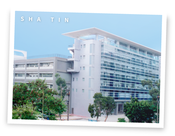 IVE (沙田)