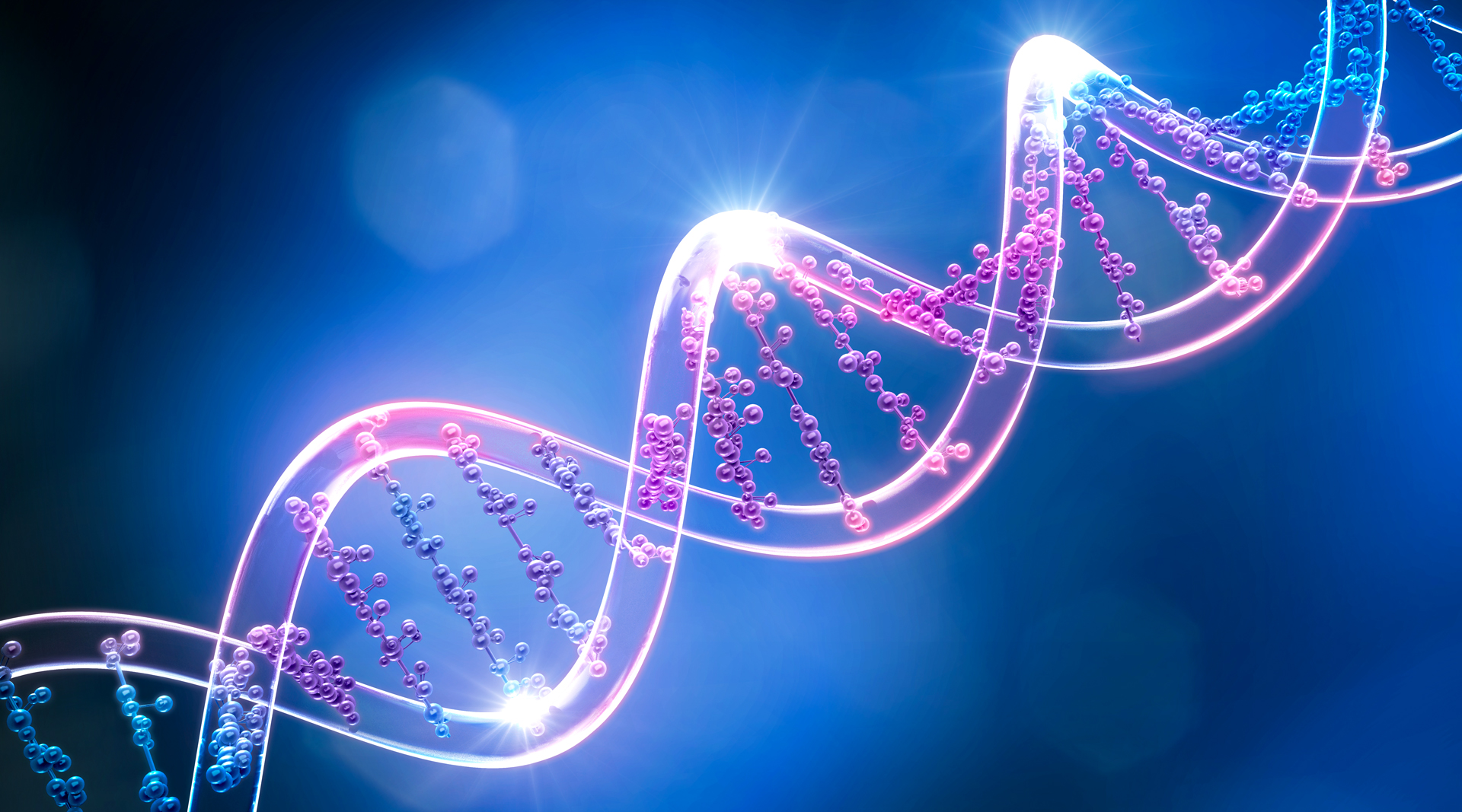 生物科技體驗 — Biotech Experience