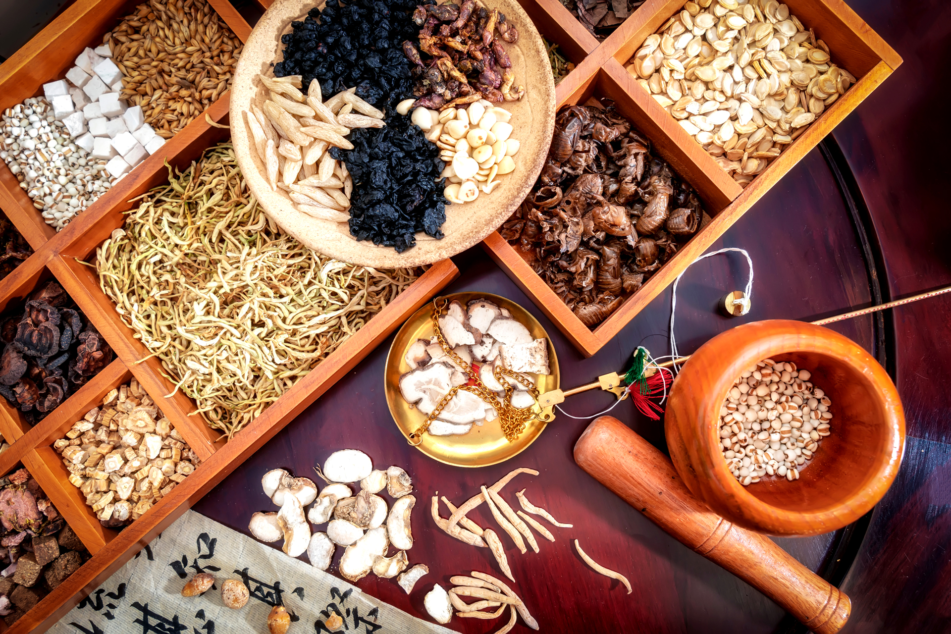中藥真偽細分辨 — Chinese Medicine
