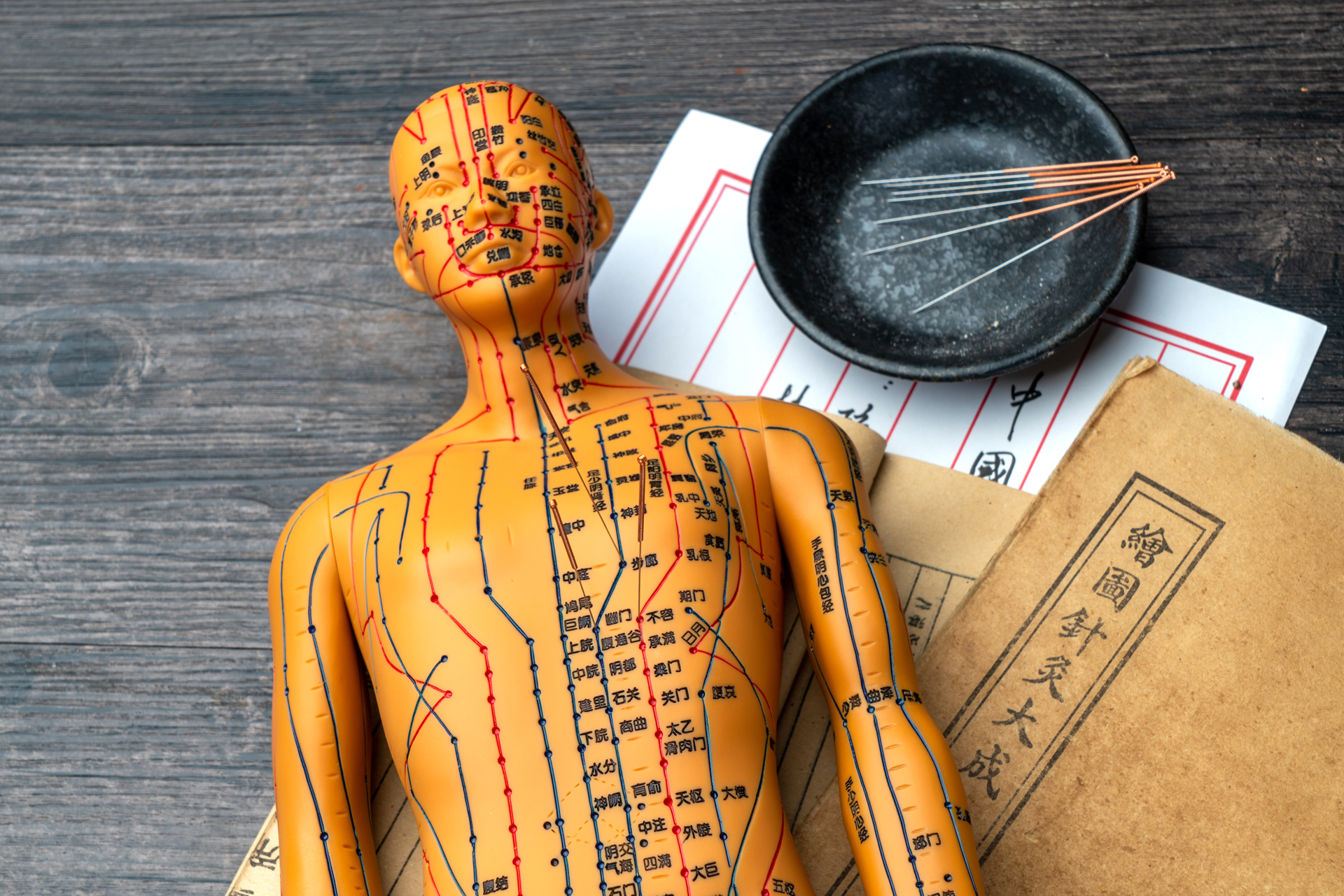 穴位針灸示範 — Acupuncture Demo