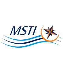 member institution icon-MSTI
