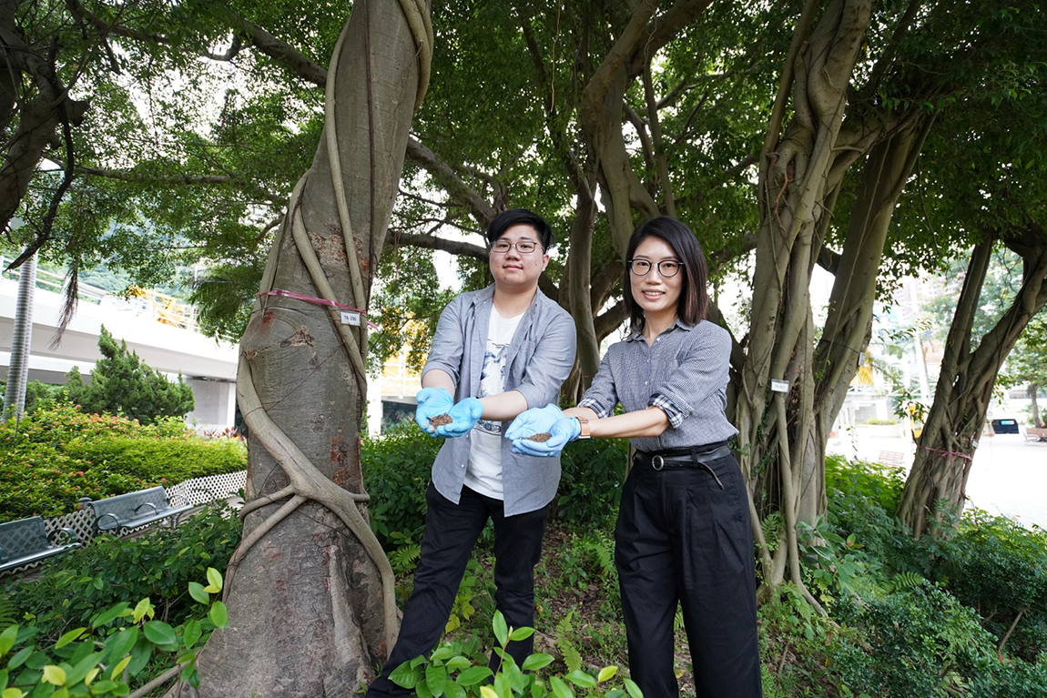 Soil DNA testing on tree fungi developed by IVE graduates Image 1