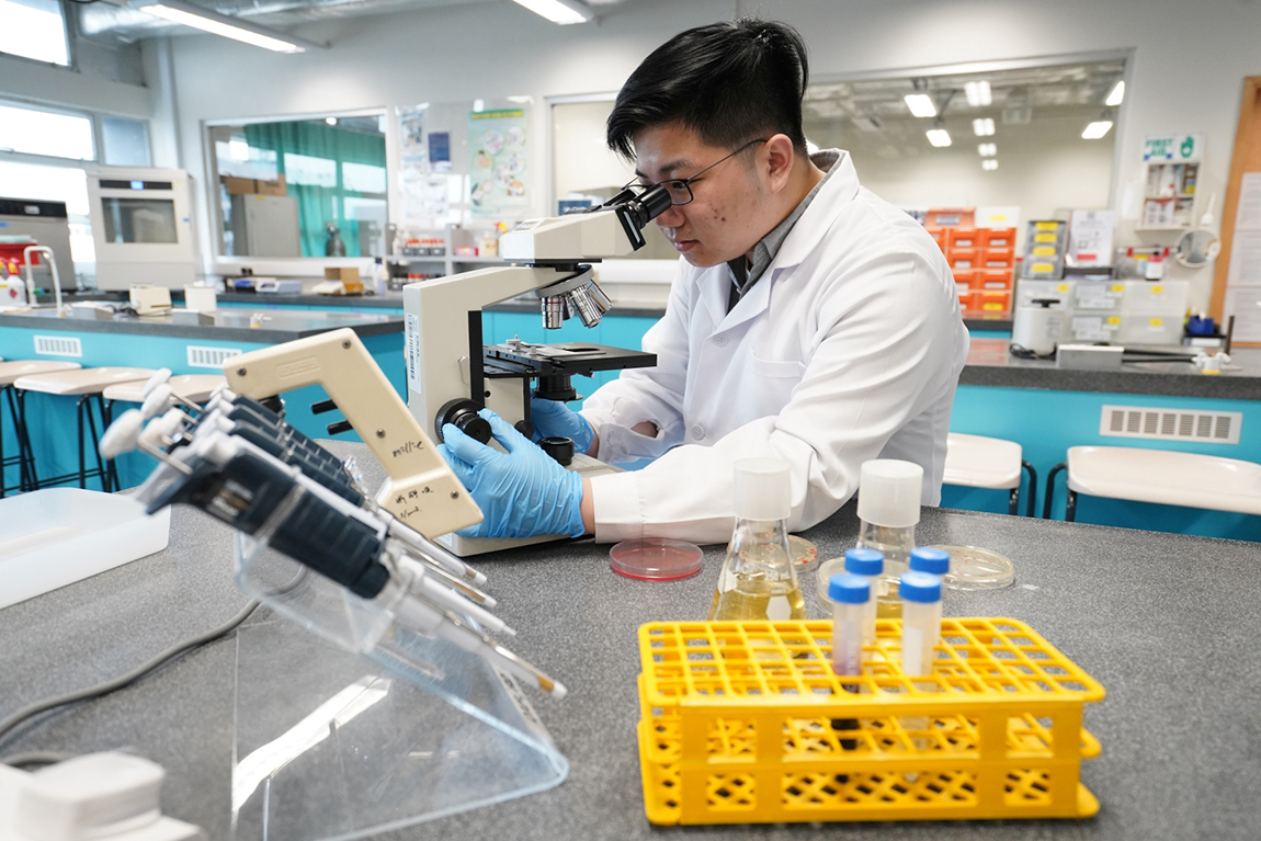 Soil DNA testing on tree fungi developed by IVE graduates Image 6