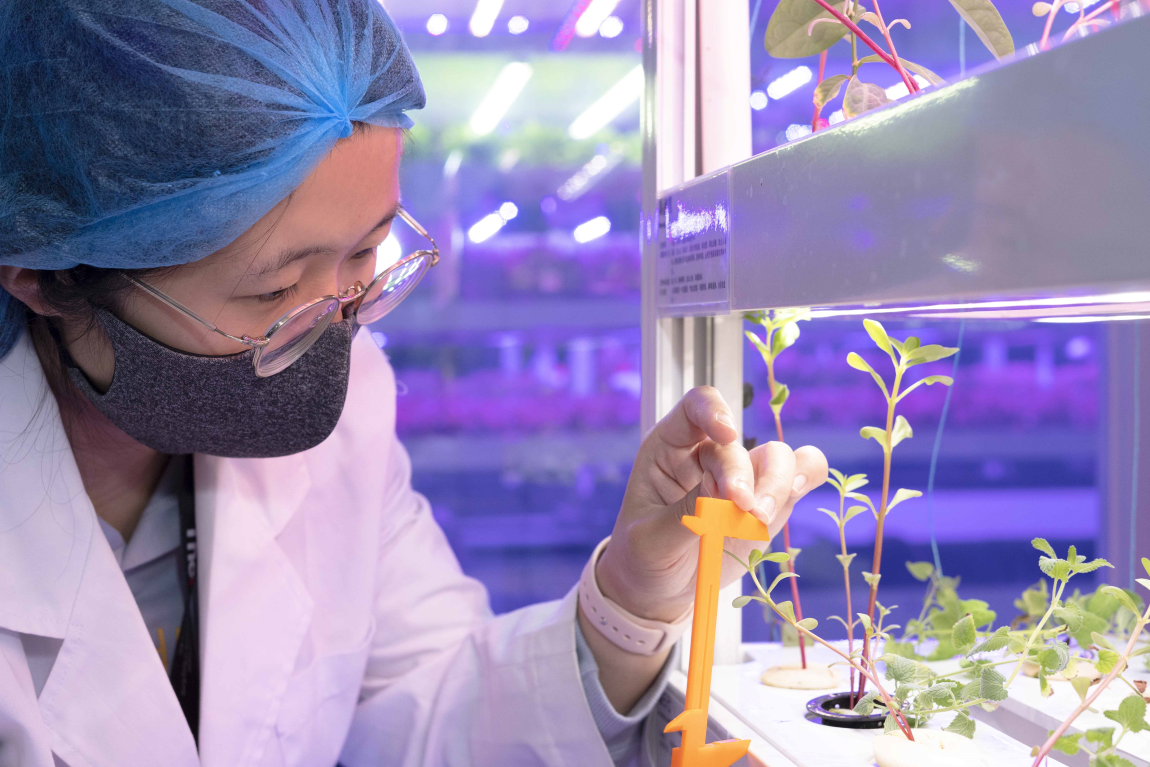 THEi teachers and students partner with industry for new technology applications serving the needs of Chinese medicine production and testing industry Image 5