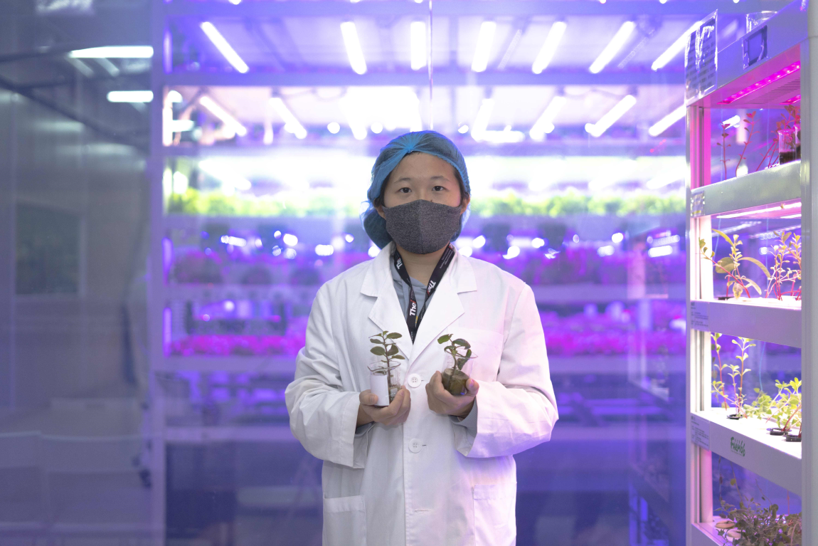 THEi teachers and students partner with industry for new technology applications serving the needs of Chinese medicine production and testing industry Image 6
