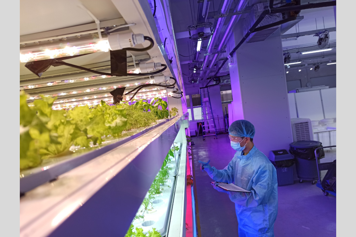 THEi teachers and students partner with industry for new technology applications serving the needs of Chinese medicine production and testing industry Image 8