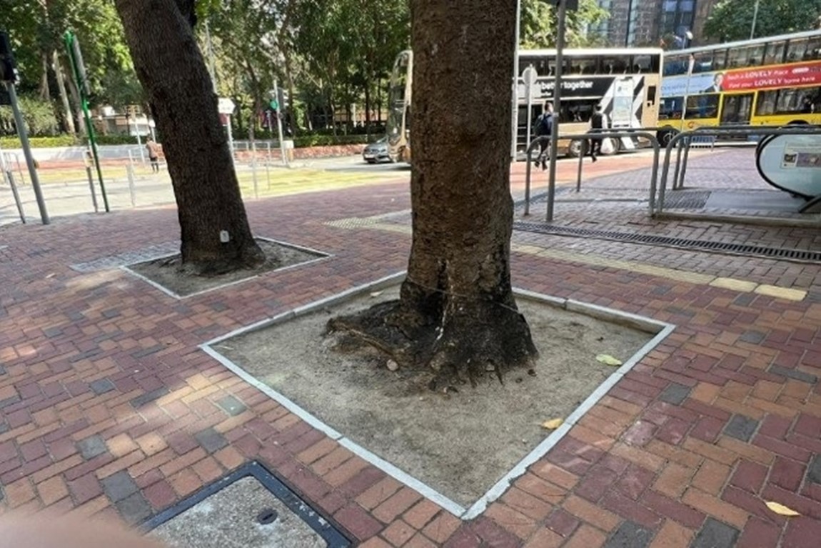 THEi research on soil properties furthers urban greening Image 4