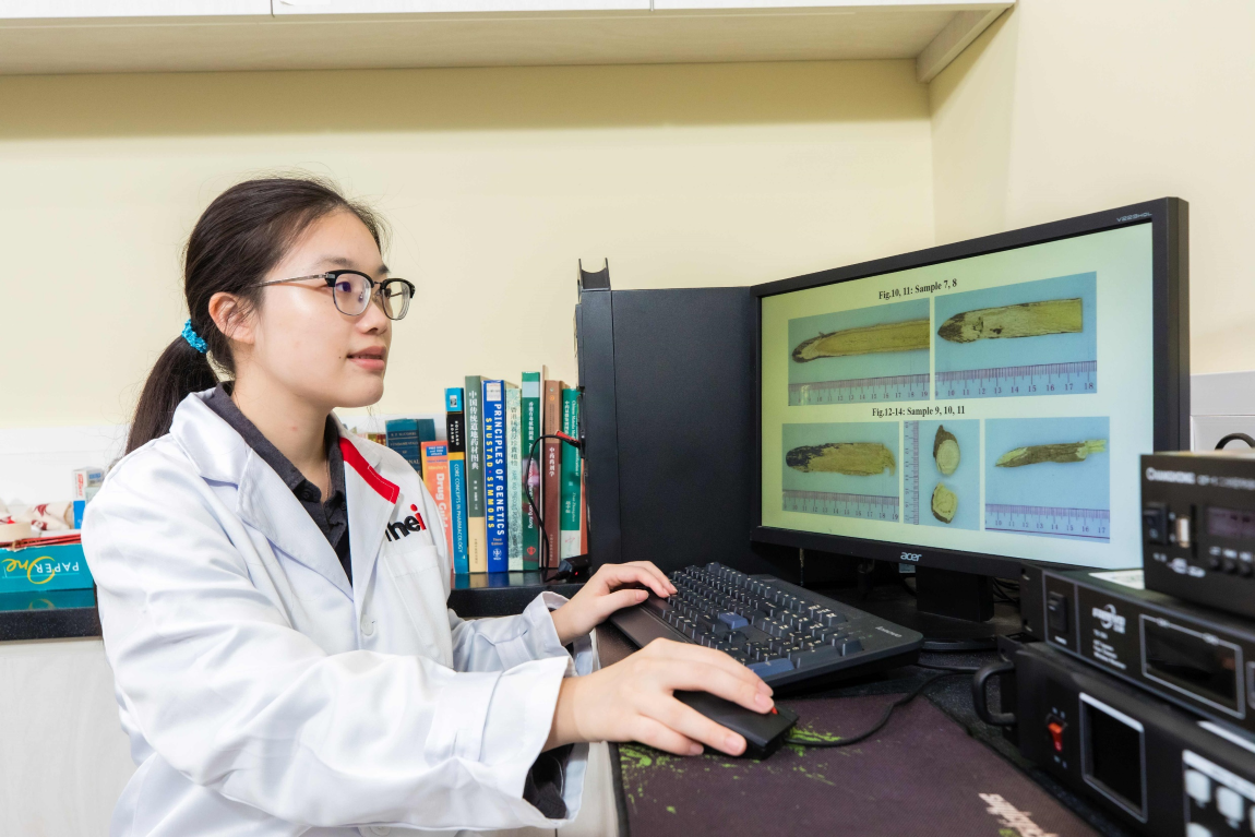 THEi student takes part in applied research of Chinese medicines to help develop smart medicine dispensary system Image 4