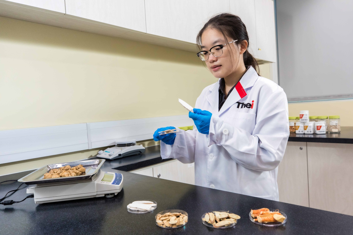 THEi student takes part in applied research of Chinese medicines to help develop smart medicine dispensary system Image 5