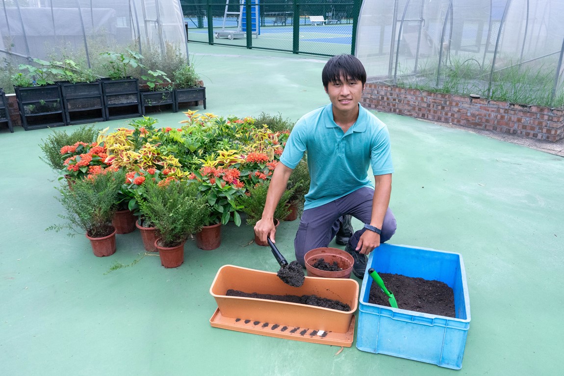 IVE research study to enhance food waste compost horticultural performance Image 7