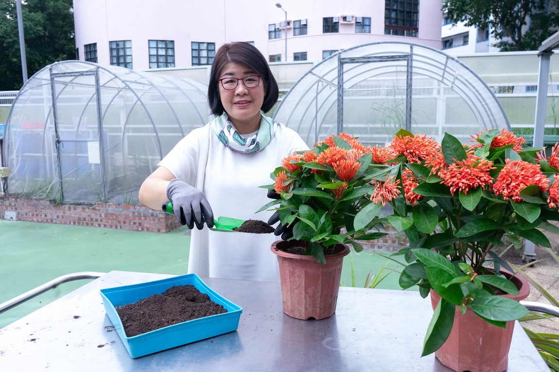 IVE research study to enhance food waste compost horticultural performance Image 8