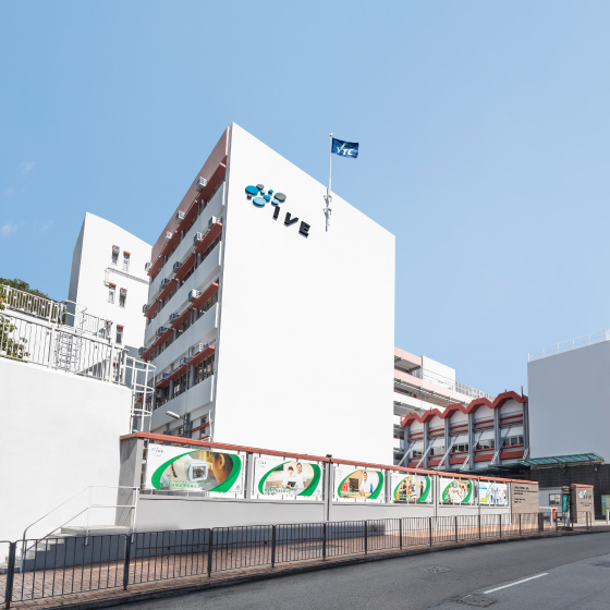 Hong Kong Institute of Vocational Education Kwai Chung